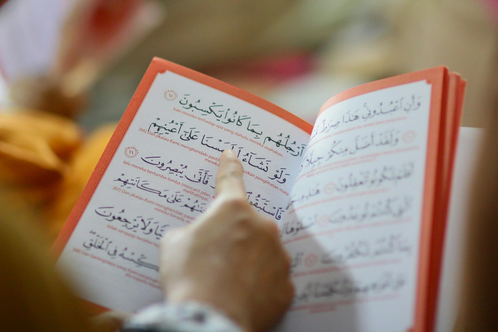 quran translation